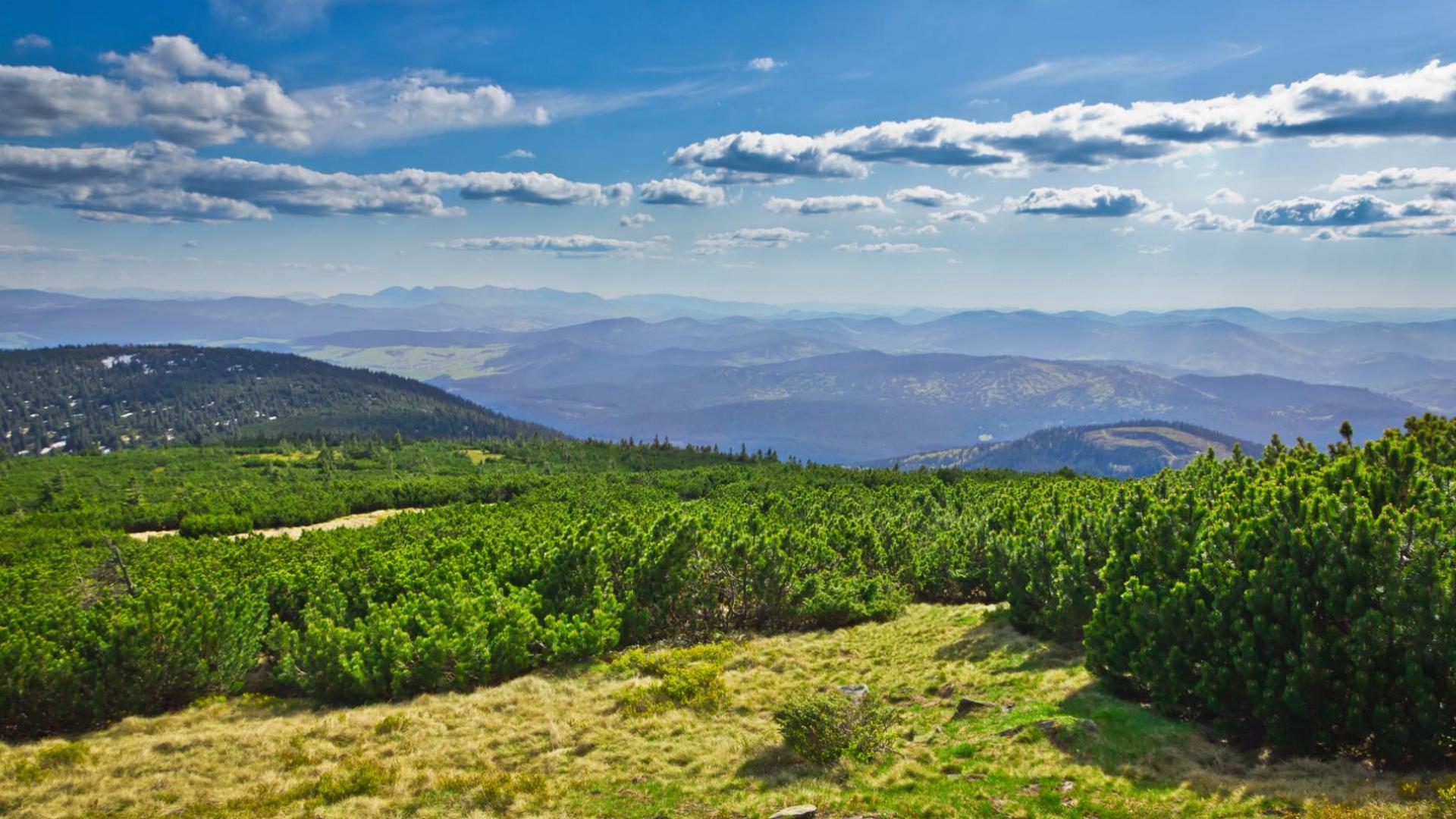 Panorama miasta Bogatynia