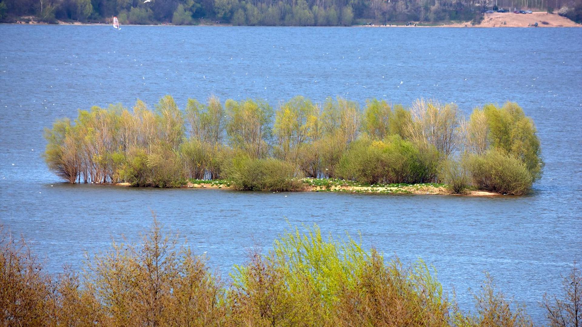 Panorama miasta Brzeg