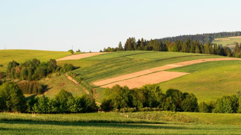 Ochrona Brzesko