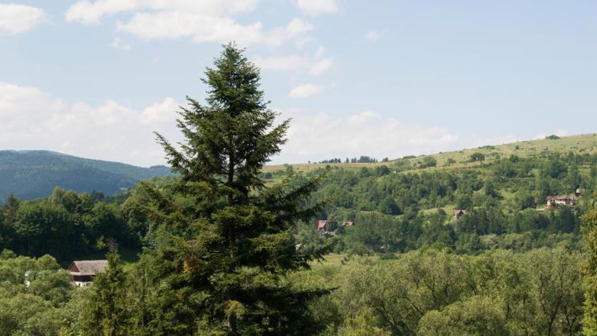 Panorama miasta Kowary