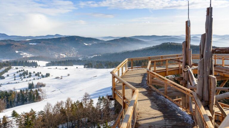 Ochrona Krynica-Zdrój