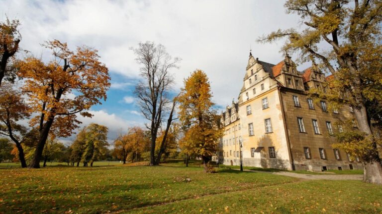 Ochrona Oleśnica