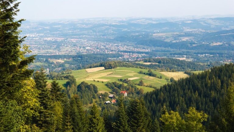 Ochrona Stary Sącz