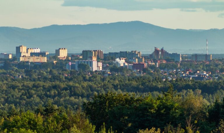 Ochrona Tychy